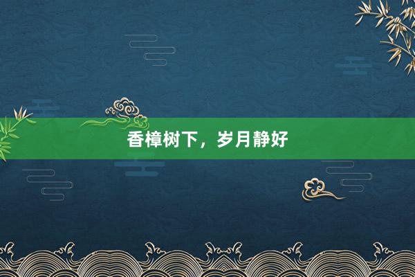 香樟树下，岁月静好