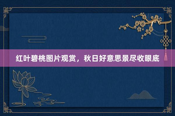 红叶碧桃图片观赏，秋日好意思景尽收眼底