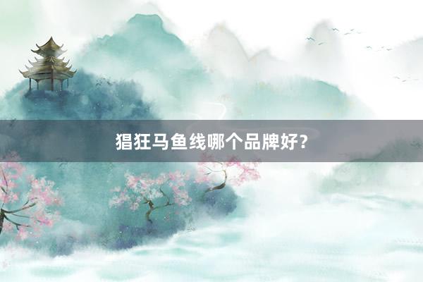 猖狂马鱼线哪个品牌好？