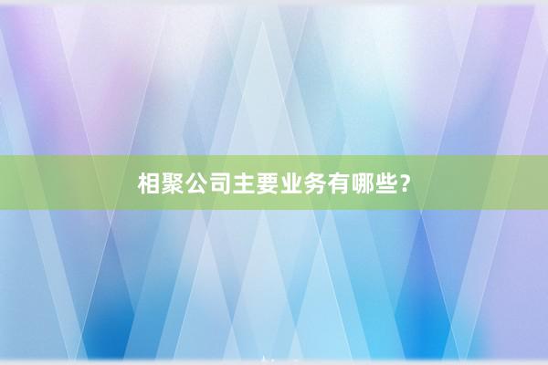 相聚公司主要业务有哪些？